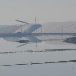 Salzberge bei Aigues Mortes C10