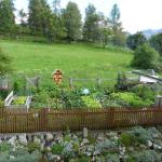 Gemuesegarten Loipoldhof 10