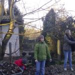 Laubbeseitigung Februar 2011