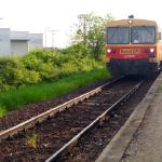 Ferkeltaxe in Mohacs D11