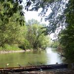 Mossoni Donau bei Rajka Ruderboot D11