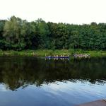 Zieleinlauf der Ruderboote Kleinmachnow 2011