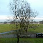 Elbaue bei Arneburg 2012