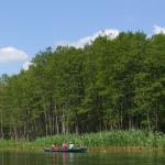 Havelpanorama Ruderboot M11