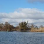 Ruderboote auf der Havel Ketzin 2011