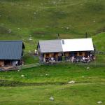 Grafenbergalm Loipoldhof 2011