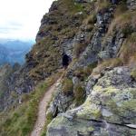 schmaler Weg Hoechstein Loipold 2011