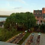 Eltville Ruderboote Rhein 11