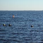 Ijsselmeer Ruderboote am Ziel R11
