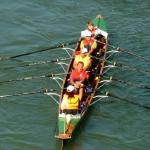 Vierer auf dem Oberrhein 2011