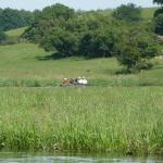 Tollense Boot auf der Wiese