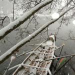 Dreier im Schneesturm 2. Advent