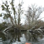 Havelufer Herbst 2012