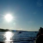 Grunewaldturm Januar 2012