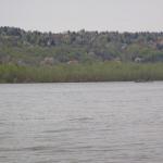 Donau bei Novi Slankamen 2012