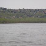 Donau bei Novi Slankamen 2012