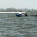 Heftige Wellen Donau vor Golubac Donau 2012