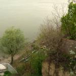 Ruderboote Stari Banovci Donau 2012