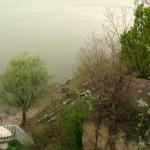 Ruderboote Stari Banovci Donau 2012