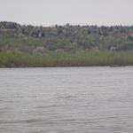 Vierer vor Steilufer Donau 2012