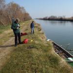 Camargue weit landeinwaerts 2012