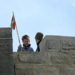 Robin auf dem Wachturm Camargue 2012