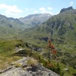 Abstieg aus dem Giglachtal Loipold 2012