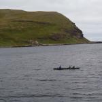 Mit dem Ruderboot rund um die Vogelinsel 2012