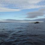 Ruderboot auf der Barentssee 2012