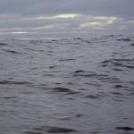 Wellen barentssee 2012