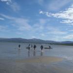 Ruderboote beim Einsetzen Porsangenfjord 2012