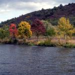 Saale mit Herbstlaub USE2012