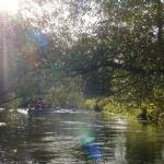 flache Baeume auf der Ilmenau USE2012