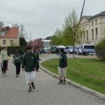 Ruderer in Werder baumbluetenfest 2013