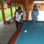 Grodek Billiard Bug 2013