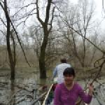 Mitten im Sumpf Donau 2013