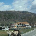 Ochsenkarren im Gegenverkehr Donau 2013