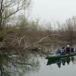 auf dem gruenen Fluss Donau 2013