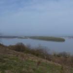 Donau bei Dunavets 2013