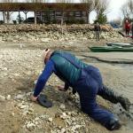 Treibsand an der Donau 2013