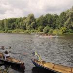 Zieleinlauf Drachenboot-Rudercup 2013