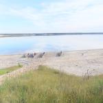 Ruderboote am Partwitzer See 2013