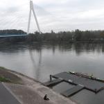 Ruderboot in Neuwied 2013