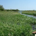 umleitung auf dem Bug 2013