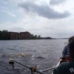 Narewmuendung Weichsel 2013