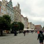 Ruderer in Danzig 2013