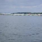 pontonbruecke sobieszewo Weichsel 2013-1