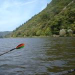 Ruderer in der saarschleife 2013