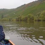 joe vor den weinbergen 2013