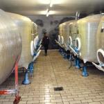 jonathan im weinkeller 2013